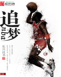 篮球之系统成神小说封面